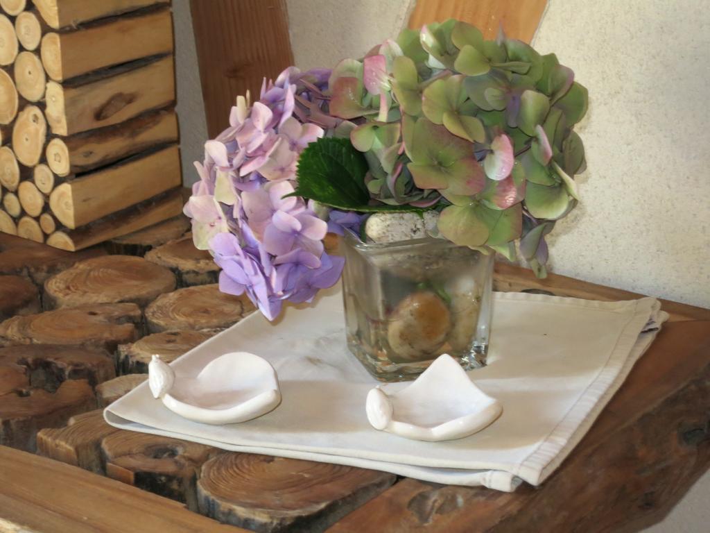 Bed And Breakfast La Fontaine Blanche Melgven Bagian luar foto