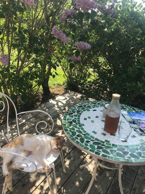 Bed And Breakfast La Fontaine Blanche Melgven Bagian luar foto